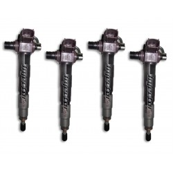 16613-AA-040 DENSO Vstreky použité