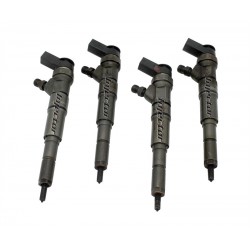 0445110030 BOSCH Vstreky použité