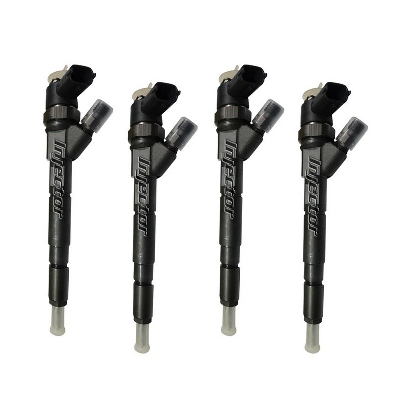 Renault Vel satis 2.2 dCi 83 kW 113 HP BOSCH Vstreky