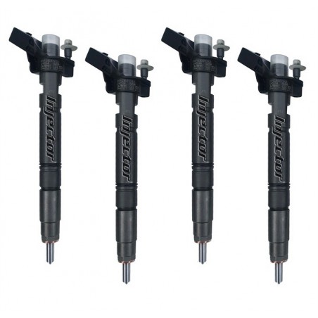 Vw Phaeton 5.0 V10 TDI 4motion 230 kW 313 HP BOSCH Vstreky