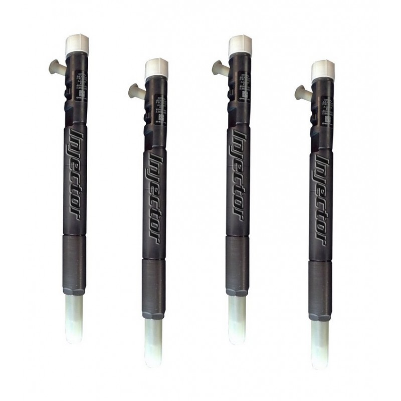 R04501D DELPHI Vstreky nové