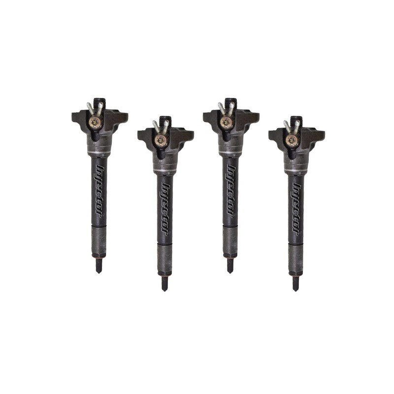 Bmw 3 320 td 100 KW 136 HP set de 4 injectoare utilizate BOSCH 13532247689, 13532246828